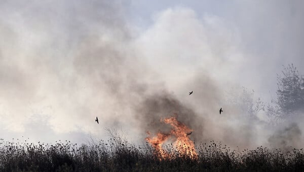 Βόλος: Ηλικιωμένος απανθρακώθηκε στην προσπάθειά του να κάψει χόρτα