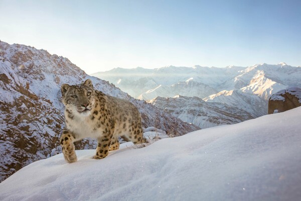 Βραβεία World Nature Photography: Το φυσικό περιβάλλον με φρέσκια προοπτική