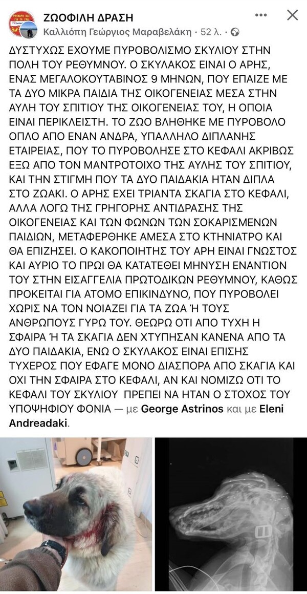 Πυροβολισμός σκύλου