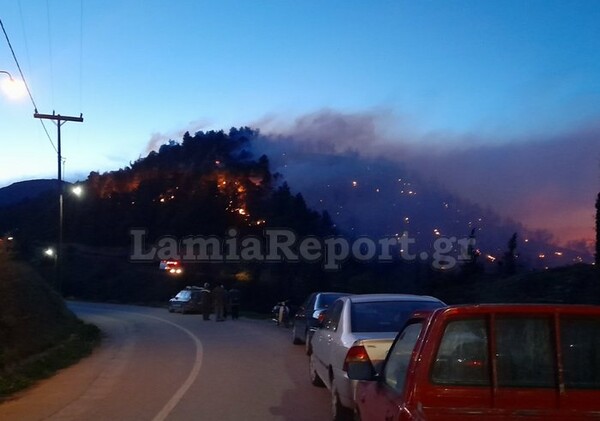 Φθιώτιδα: Σε εξέλιξη η μεγάλη φωτιά – Μάχη με τις φλόγες δίνουν οι πυροσβέστες