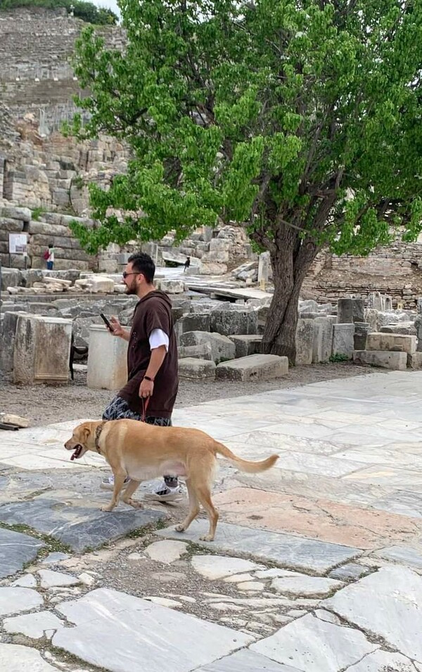 Τα κατοικίδια μπαίνουν σε αρχαιολογικούς χώρους- Υπό όρους