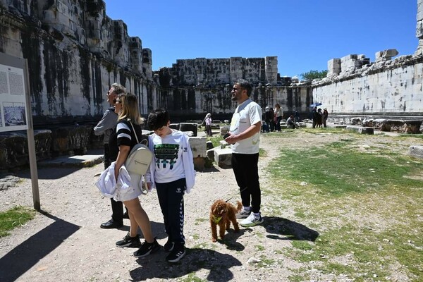 Τα κατοικίδια μπαίνουν σε αρχαιολογικούς χώρους- Υπό όρους