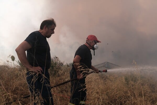 Ένας ζεστός χειμώνας προμηνύει πυρκαγιές το καλοκαίρι;