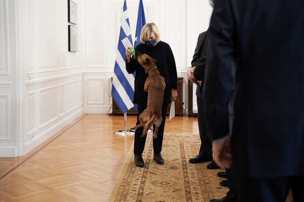 Έφυγε και ο Πίνατ από το Μέγαρο Μαξίμου- Με ταξί