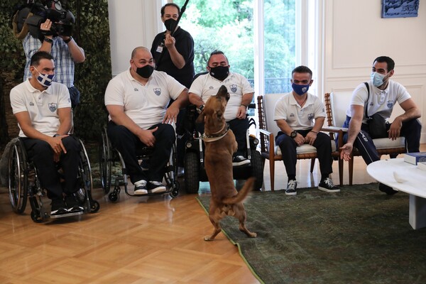 Έφυγε και ο Πίνατ από το Μέγαρο Μαξίμου- Με ταξί