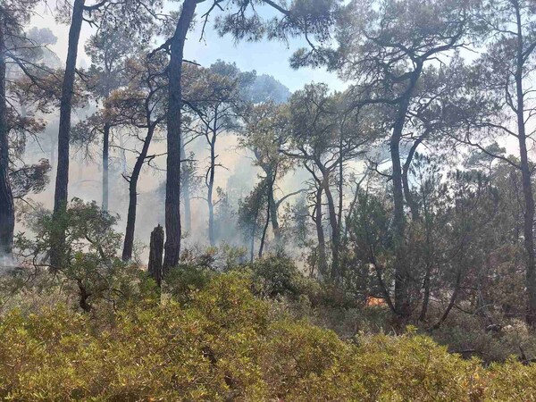 Φωτιά στη Ρόδο - Έχουν σηκωθεί τρία εναέρια μέσα