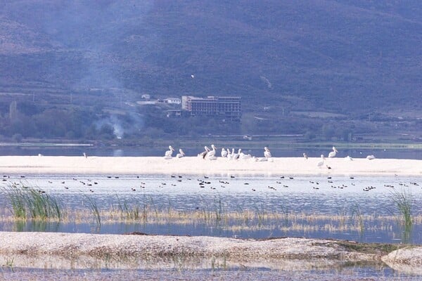 Οι 9 τελευταίοι ψαράδες της Δοϊράνης- Το επάγγελμα που χάθηκε μέσα σε 40 χρόνια