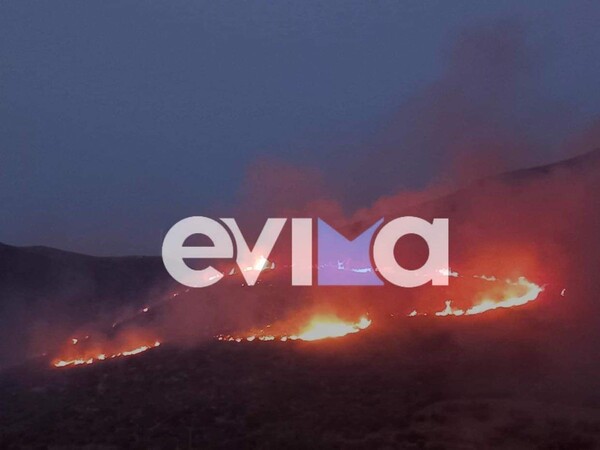 Φωτιά στο Αλιβέρι της Εύβοιας - Σε κοντινή απόσταση από εργοστάσιο της ΔΕΗ