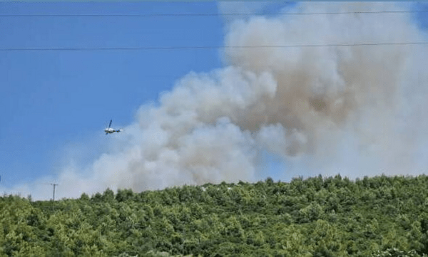 Φωτιά στον Ωρωπό: Ενισχύονται οι πυροσβεστικές δυνάμεις - Έκλεισαν δρόμοι