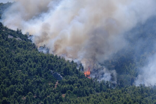 Σε ύφεση η φωτιά στην Εύβοια - Στοχευμένες ρίψεις νερού από τα καναντέρ 