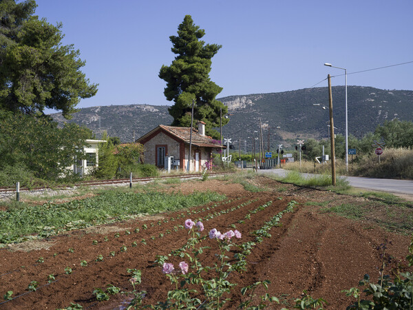 Το καλοκαίρι (1)