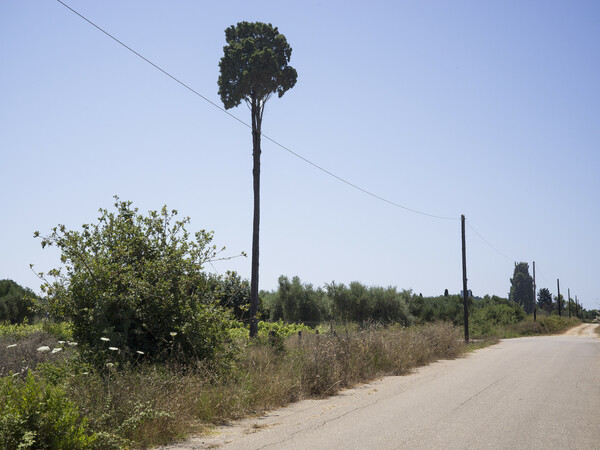 Το καλοκαίρι (1)