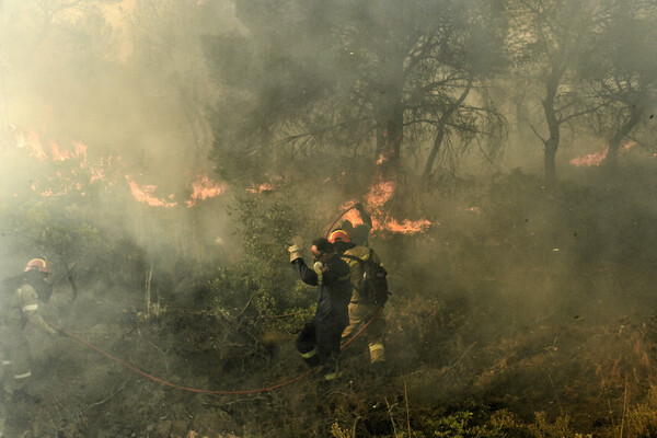 Συνολικά 49 δασικές πυρκαγιές σε ένα 24ωρο - Οι 6 περιοχές που κινδυνεύουν περισσότερο την Τετάρτη 