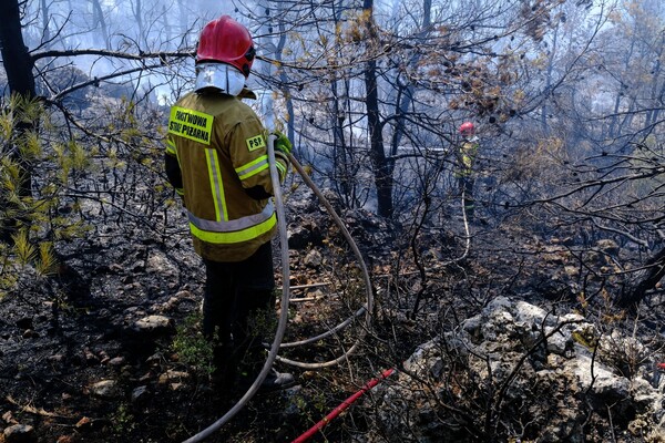 Φωτιές σε Κορινθία και Λασίθι - Μεγάλη κινητοποίηση της Πυροσβεστικής