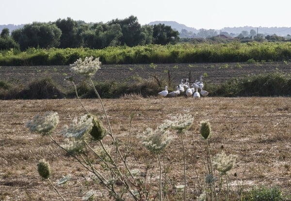 Το καλοκαίρι (3) 