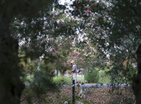 Το καλοκαίρι (4) Αυτό που είναι. Αυτό που ήταν. Αυτό που δεν είναι πια. (Φωτογραφίες)