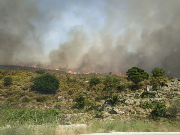 Σε εξέλιξη η φωτιά στη Νάξο- Ενισχύθηκαν οι δυνάμεις από Αττική, Σύρο και Πάρο