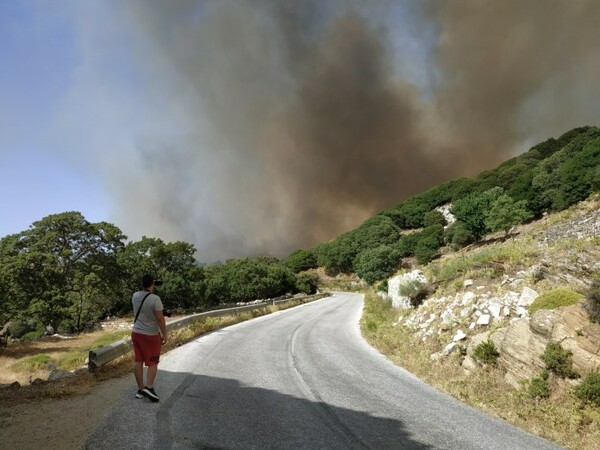 Σε εξέλιξη η φωτιά στη Νάξο- Ενισχύθηκαν οι δυνάμεις από Αττική, Σύρο και Πάρο