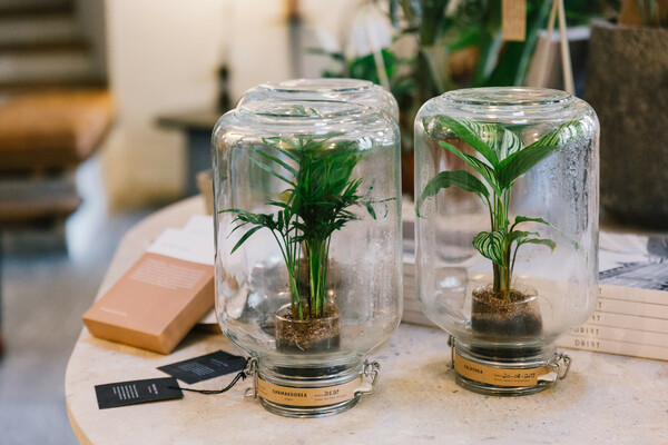  Plant Sitting: Κάποιοι θα προσέχουν τα φυτά σας όσο εσείς κάνετε διακοπές 