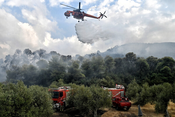 Φωτιά σε Εύβοια και Τύρναβο- Ισχυρές πυροσβεστικές δυνάμεις για την κατάσβεσή τους εν μέσω καύσωνα