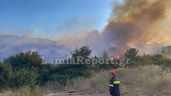 Φωτιά στη Λαμία - Σηκώθηκαν πέντε εναέρια μέσα