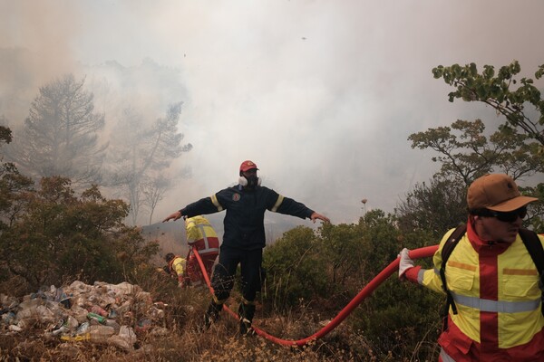 Καύσωνας «Κλέων»: Πολύ υψηλός κίνδυνος πυρκαγιάς σήμερα σε 6 περιφέρειες