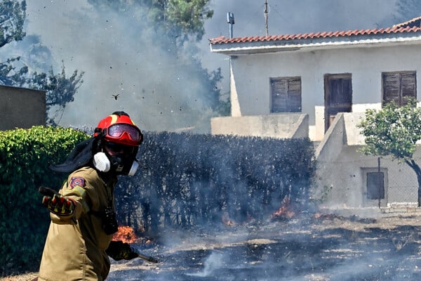 Φωτιές: Ενισχύονται οι δυνάμεις στα Δερβενοχώρια- Πυροσβεστική: «Αποφύγετε την εθνική Αθηνών- Πατρών»