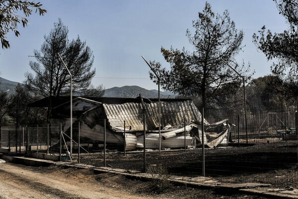 Φωτιά στο Λουτράκι - Ανυπολόγιστες οι ζημιές - Καμένα σπίτια και αυτοκίνητα