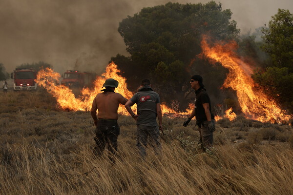 Φωτιά στα Δερβενοχώρια: Η μάχη με τις φλόγες σε 15 φωτογραφίες