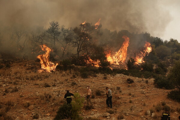 Φωτιά στα Δερβενοχώρια: Η μάχη με τις φλόγες σε 15 φωτογραφίες