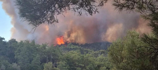 Φωτιά στη Ρόδο: Ακυρώθηκε η εκκένωση του Απόλλωνα