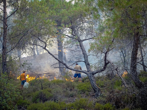 Φωτιές: Ανεξέλεγκτες οι πυρκαγιές σε Ρόδο, Δερβενοχώρια, Λουτράκι- 524 πυροσβέστες στη μάχη