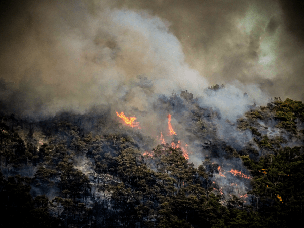 Φωτιά στη Ρόδο: Εκκενώνονται τα χωριά Λάρδος και Πυλώνας- Μήνυμα από το 112