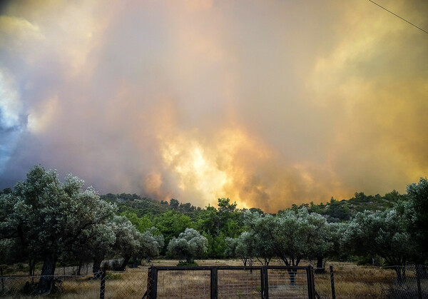 Φωτιά στη Ρόδο: Πάνω από 2.000 απεγκλώβισε το Λιμενικό- «Υπάρχει αποκλιμάκωση»