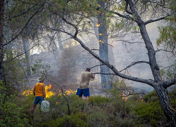 Φωτιές: Ακραίος κίνδυνος πυρκαγιάς για αύριο - Σε ποιες περιοχές χρειάζεται περισσότερη προσοχή 