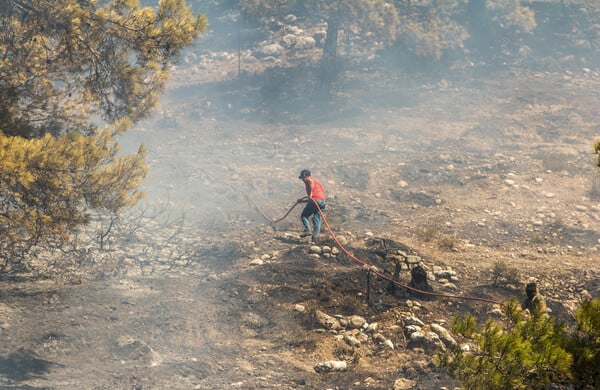 Φωτιά τώρα στο Βελεστίνο - Κοντά σε κτηνοτροφικές μονάδες 