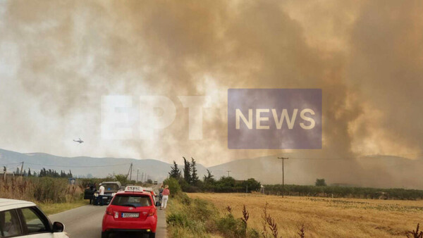 Φωτιές: Μπαράζ μηνυμάτων από το 112 σε Μαγνησία και Λαμία- Πληροφορίες για αγνοούμενο