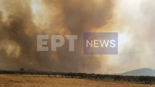 Φωτιές: Μπαράζ μηνυμάτων από το 112 σε Μαγνησία και Λαμία- Πληροφορίες για αγνοούμενο