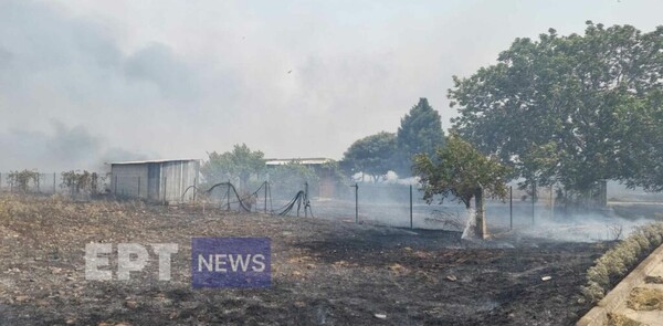 Φωτιές: Μπαράζ μηνυμάτων από το 112 σε Μαγνησία και Λαμία- Πληροφορίες για αγνοούμενο