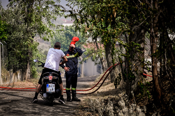 Φωτιά τώρα στην Τανάγρα - Επί τόπου ισχυρή δύναμη