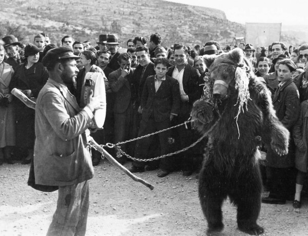Κακοποίηση ζώων: Από τους αρκουδιάρηδες και τα απάνθρωπα τσίρκο, στις άμαξες της ντροπής και τα «γαϊδουράκια εργασίας» 