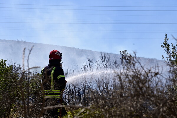 Φωτιά τώρα στον Βαρνάβα- Ισχυρές επίγειες και εναέριες δυνάμεις στην περιοχή