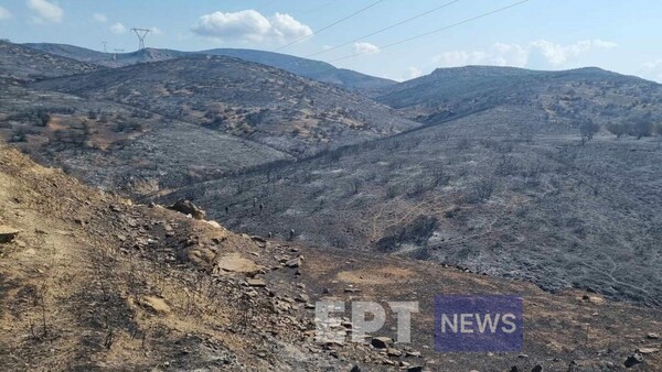 Εκρήξεις στη Νέα Αγχίαλο: Oμάδες του στρατού περισυλλέγουν θραύσματα – Σήμερα το πόρισμα