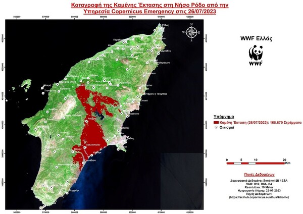 WWF: Ποιά είναι η καταστροφή στη Ρόδο πως θα έρθει η αναγέννηση