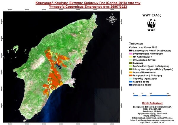 WWF: Ποιά είναι η καταστροφή στη Ρόδο πως θα έρθει η αναγέννηση