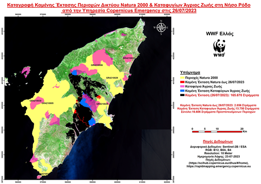 WWF: Ποιά είναι η καταστροφή στη Ρόδο πως θα έρθει η αναγέννηση