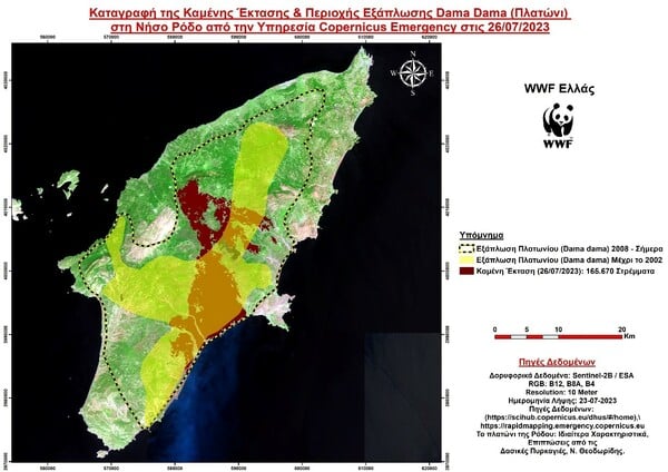 WWF: Ποιά είναι η καταστροφή στη Ρόδο πως θα έρθει η αναγέννηση