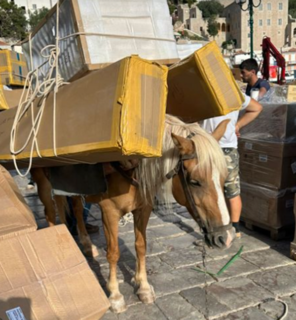 Γαϊδούρια κουβαλούν βαριά αντικείμενα στην Ύδρα- Οργή για το νέο περιστατικό κακοποίησης ζώων