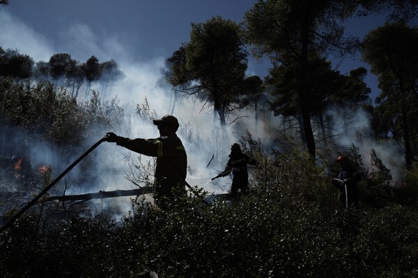 Μία ακόμα σύλληψη για εμπρησμό- Στο Ηράκλειο