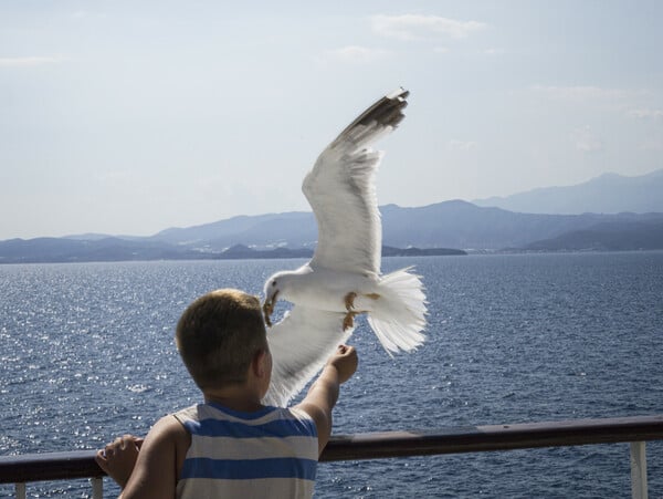 Το καλοκαίρι (12) 